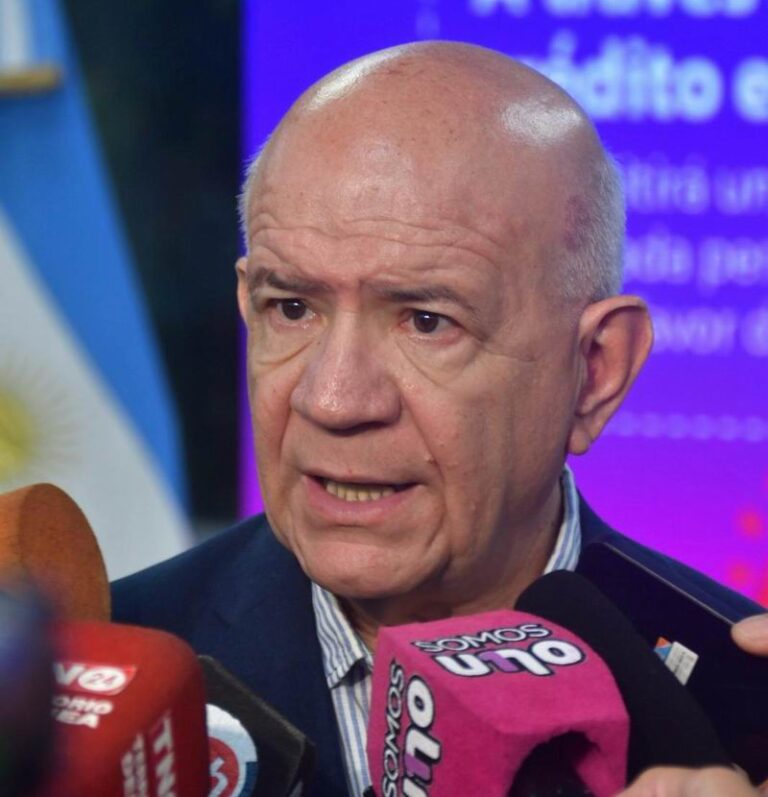 Bistoletti: Una medida clave para acompañar a los chaqueños