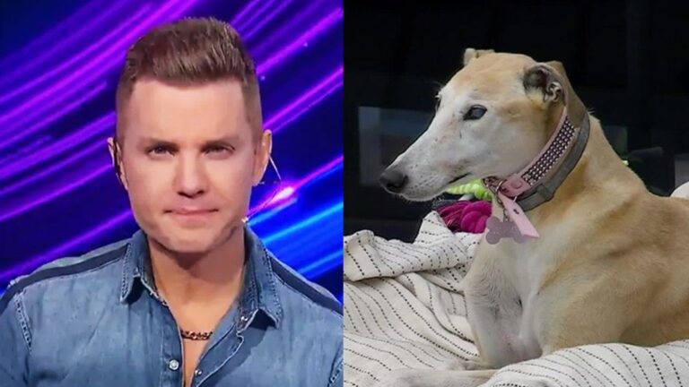 Paris, la perrita de Gran Hermano, se ausenta por motivos de salud: qué le pasa