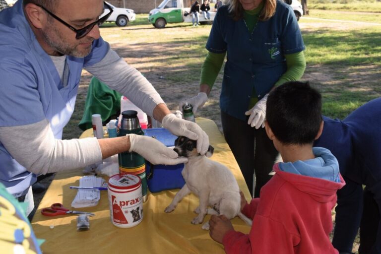 Dejando Huellas: el programa provincial de protección animal llegó a la zona sur de Resistencia