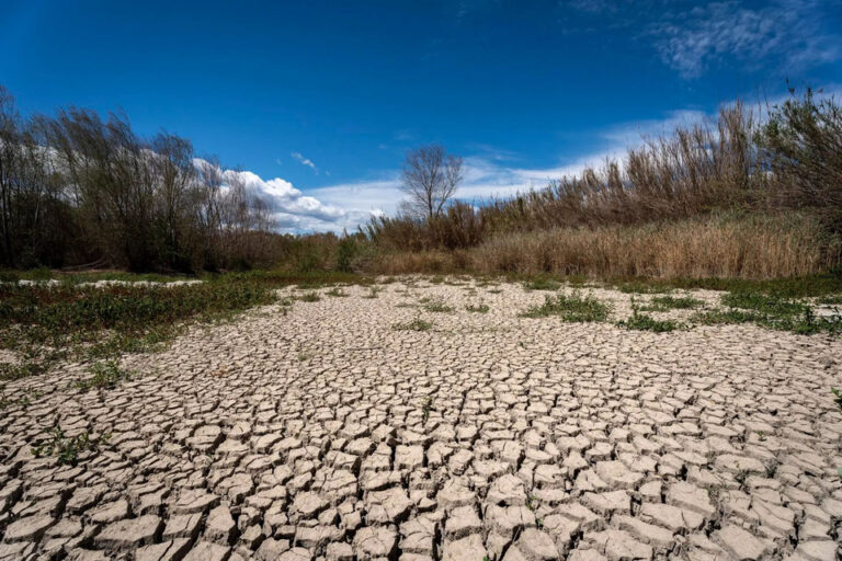Los recursos ambientales se agotan