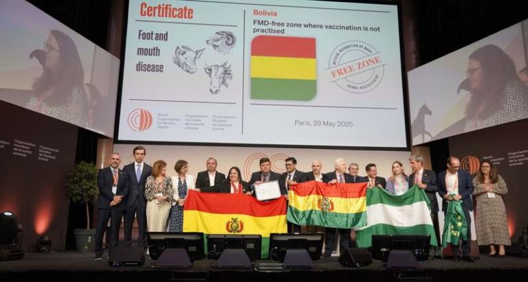 Bolivia y Brasil logran estatus libre de aftosa