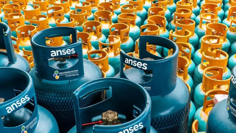 ANSES: los requisitos para acceder a este beneficio para el invierno