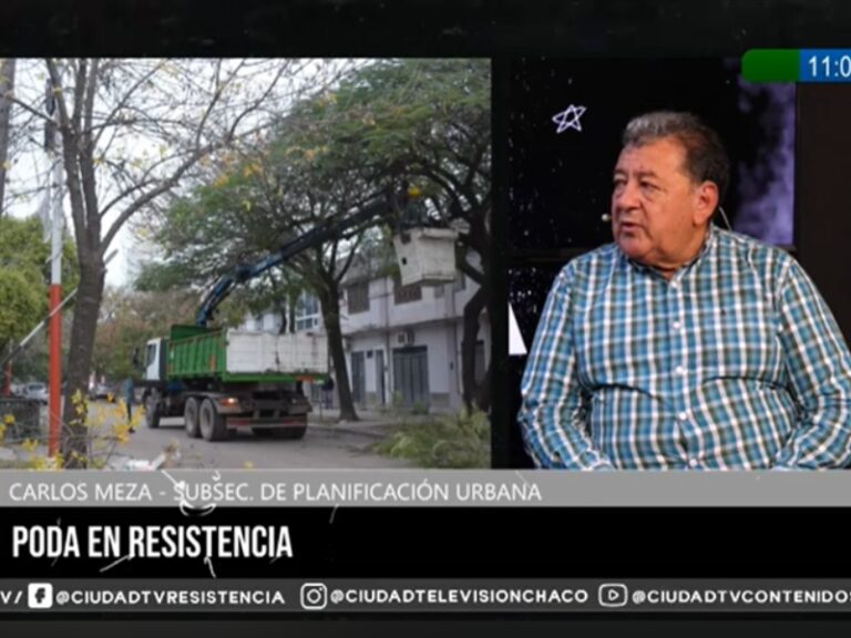 Poda urbana en Resistencia: el municipio avanza con operativos intensivos en el microcentro