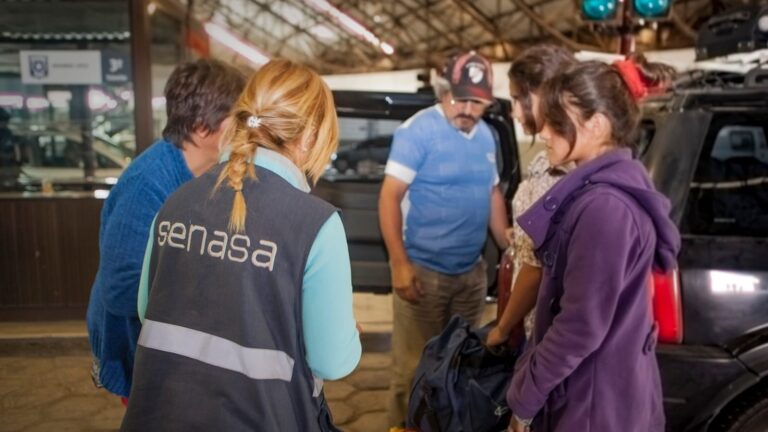 El Senasa refuerza controles en fronteras para evitar el ingreso del picudo rojo de las palmeras