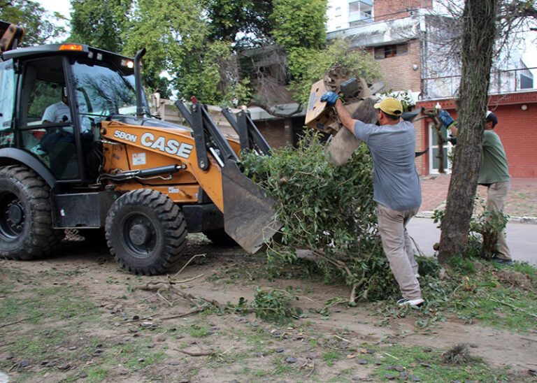 Vecinos apreciaron la intervención municipal de descacharrado en Villa Perrando
