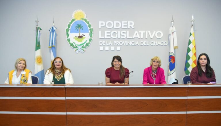 Conversatorio en el Poder Legislativo sobre el ejercicio profesional de la puericultura