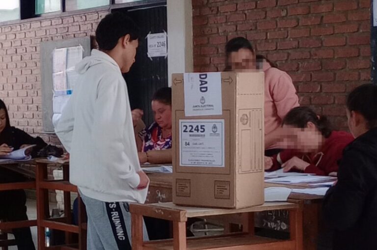 Insólito: designaron a una persona que no sabe leer ni escribir como presidente de mesa en Corrientes