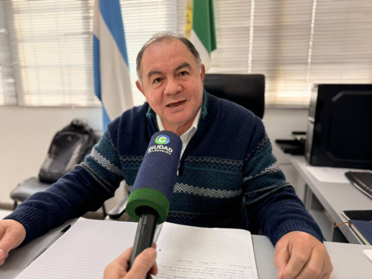 Paro de colectivos: Gobierno adjudicó el retraso en el pago de aportes a la caída del sistema y descarta sanciones