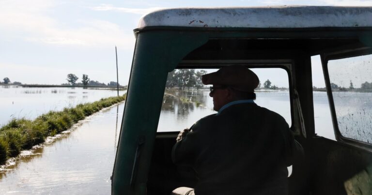 «Política berreta»: la bronca de una productora que sufrió dos años sequía y ahora no puede acceder al campo por las inundaciones