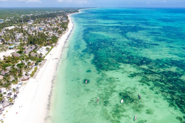 Aerolíneas Argentinas inaugura una nueva ruta directa a una isla del Caribe