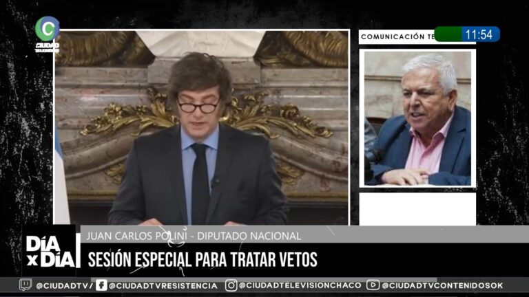 Polini anticipó que votará contra los vetos de Milei: El que tiene que cambiar es el Presidente