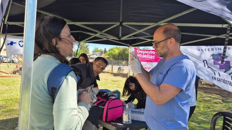 Más de 100 animales atendidos en el operativo Dejando Huellas en la UNNE