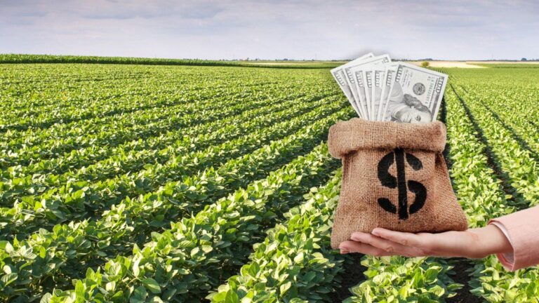 El Gobierno anunció el fin de la quita de retenciones: ya se alcanzó el cupo de u$s7.000 millones