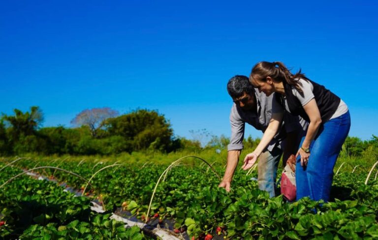 Las Palmas: la vicegobernadora Schneider visitó a productores rurales