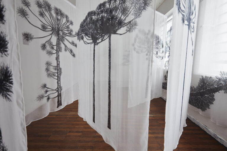 Se inauguraEnsayos sobre el paisaje con obras de tres importantes artistas