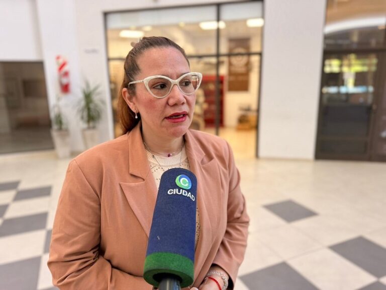 Buscamos una sola voz para que el segundo Puente sea una realidad, sostuvo la titular del Rotary Resistencia