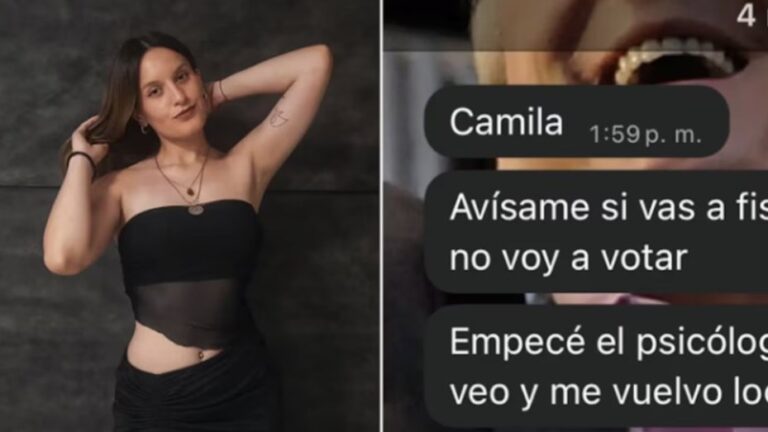 «Camila, avisame si vas a fiscalizar en mi mesa así no voy a votar»: el insólito mensaje de su ex