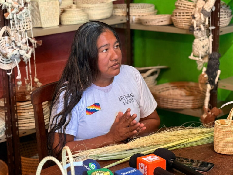 NTetaxanaxaqui, una experiencia colectiva que agrupa a 50 artesanas indígenas en las puertas de El Impenetrable