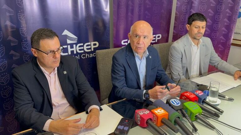 Cambios en mercado eléctrico mayorista: Los grandes usuarios deberán contratar su energía o asumir el precio spot, advirtió Bistoletti