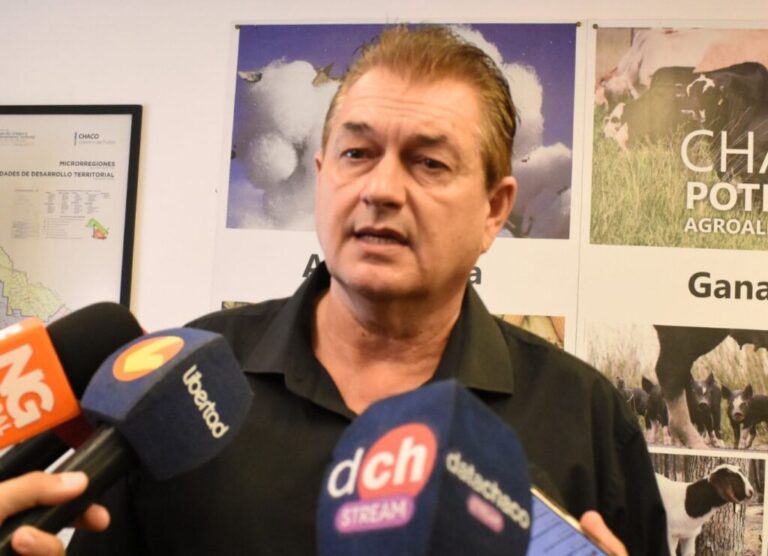 Advierten que la cautelar deja al Chaco sin un marco legal para cuidar el ambiente y paraliza la actividad forestal