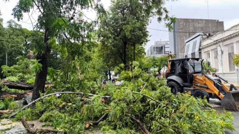 Cuadrillas municipales trabajaron en todo Resistencia a raíz del fuerte temporal de lluvia y viento