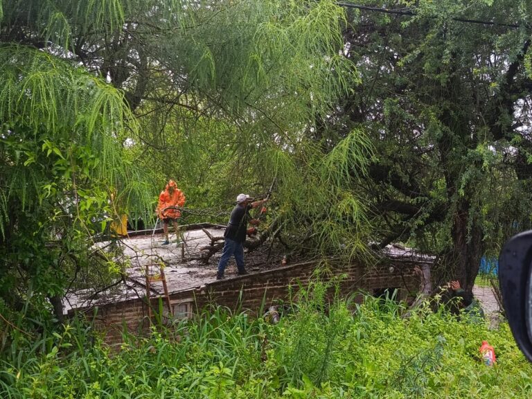 Temporal en el Chaco: La prioridad es asistir a las familias afectadas, sostuvo el ministro Gutiérrez
