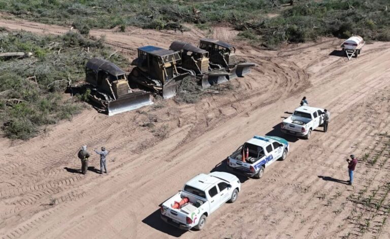 Desmonte ilegal en Río Muerto: Van a tener que vender el campo para pagar la multa, dijo Dudik
